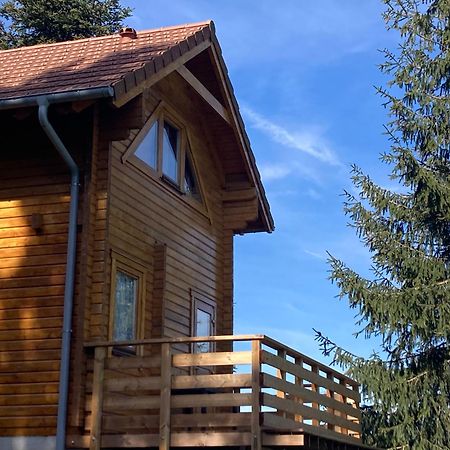 Chalet Authentique Au Calme, En Lisiere De Foret, Montagne, Sentiers 15Mn Gerardmer & Alsace "Chalet Mon Beau Sapin" Anould Exterior foto