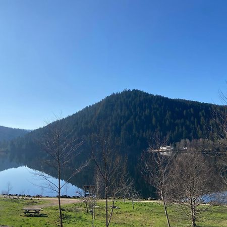 Chalet Authentique Au Calme, En Lisiere De Foret, Montagne, Sentiers 15Mn Gerardmer & Alsace "Chalet Mon Beau Sapin" Anould Exterior foto