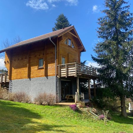 Chalet Authentique Au Calme, En Lisiere De Foret, Montagne, Sentiers 15Mn Gerardmer & Alsace "Chalet Mon Beau Sapin" Anould Exterior foto