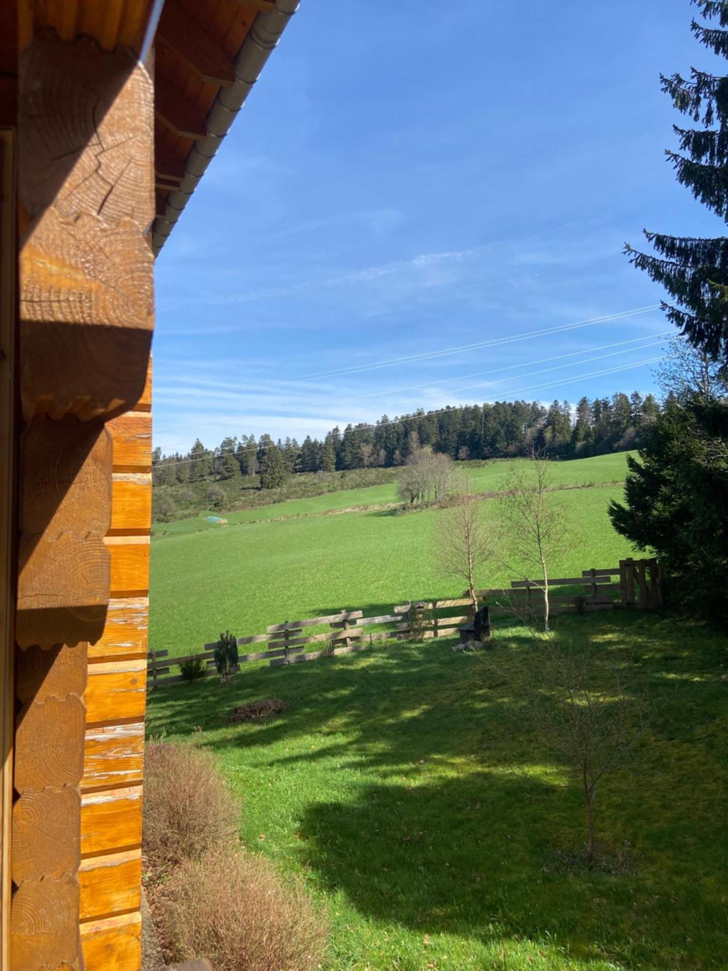 Chalet Authentique Au Calme, En Lisiere De Foret, Montagne, Sentiers 15Mn Gerardmer & Alsace "Chalet Mon Beau Sapin" Anould Exterior foto