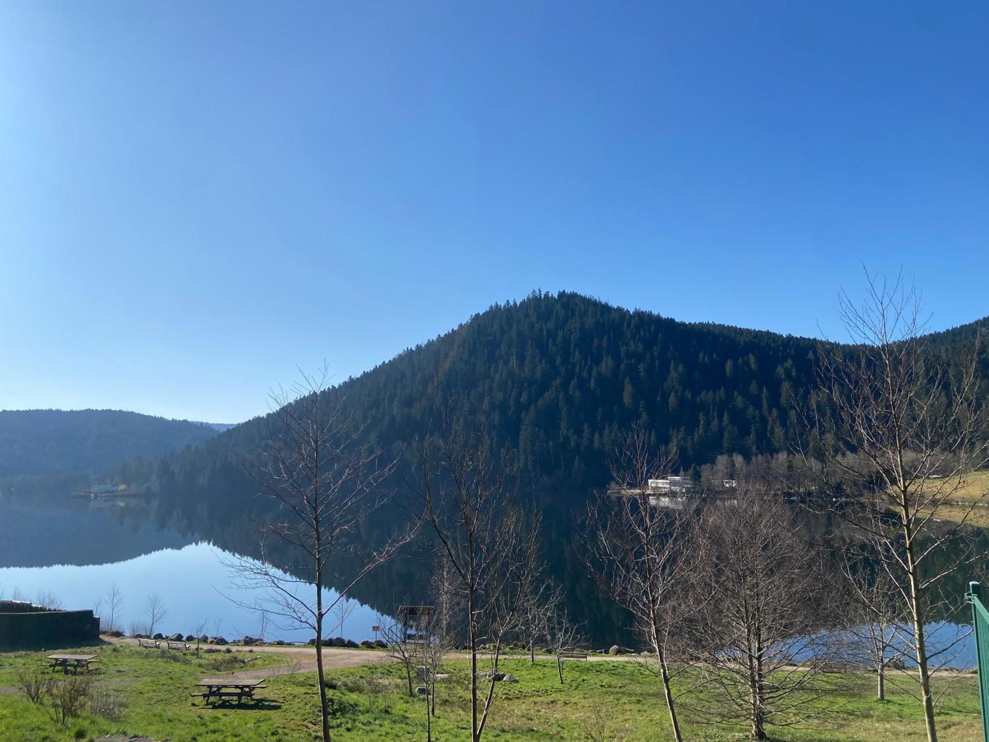 Chalet Authentique Au Calme, En Lisiere De Foret, Montagne, Sentiers 15Mn Gerardmer & Alsace "Chalet Mon Beau Sapin" Anould Exterior foto