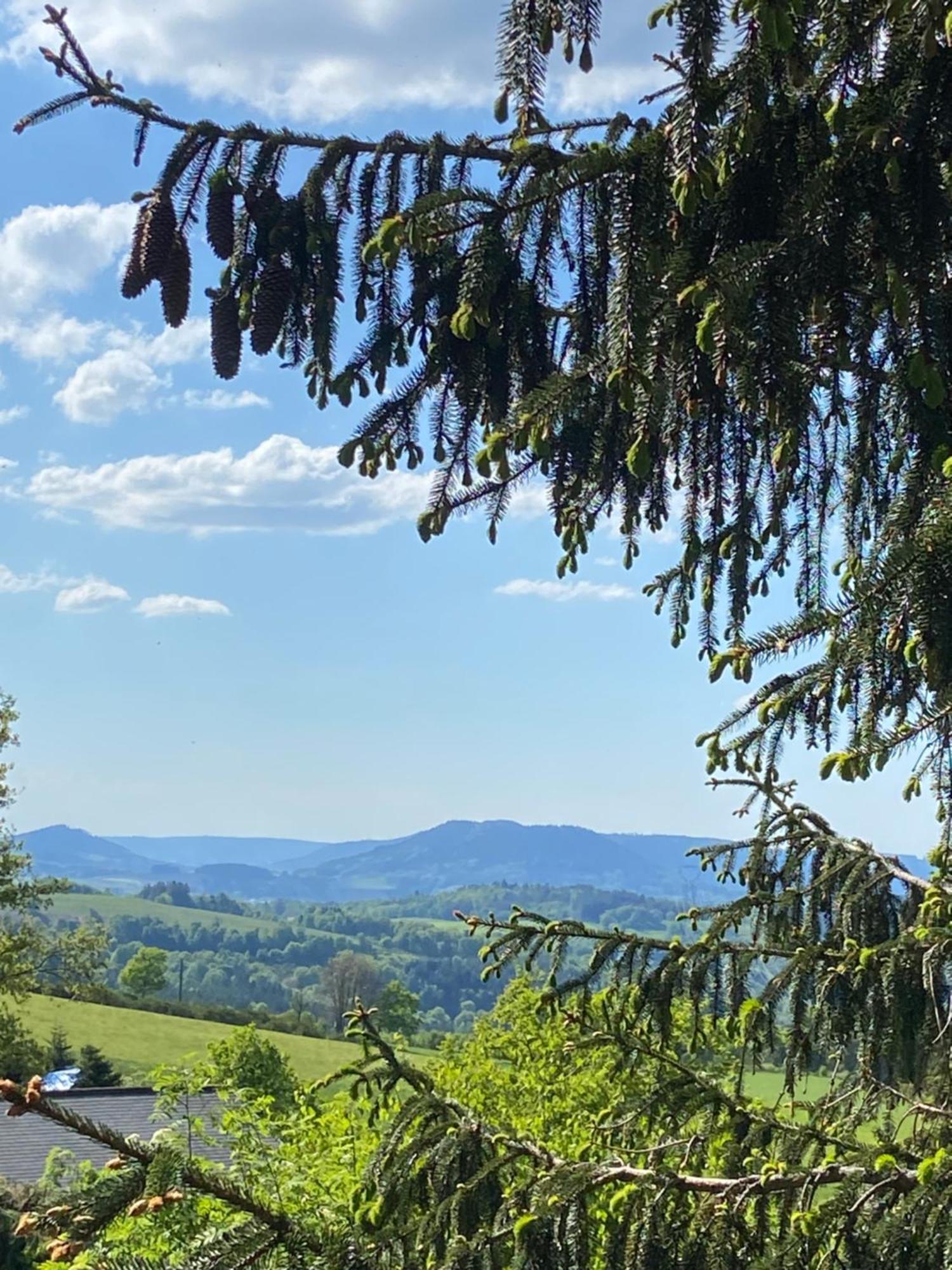 Chalet Authentique Au Calme, En Lisiere De Foret, Montagne, Sentiers 15Mn Gerardmer & Alsace "Chalet Mon Beau Sapin" Anould Exterior foto