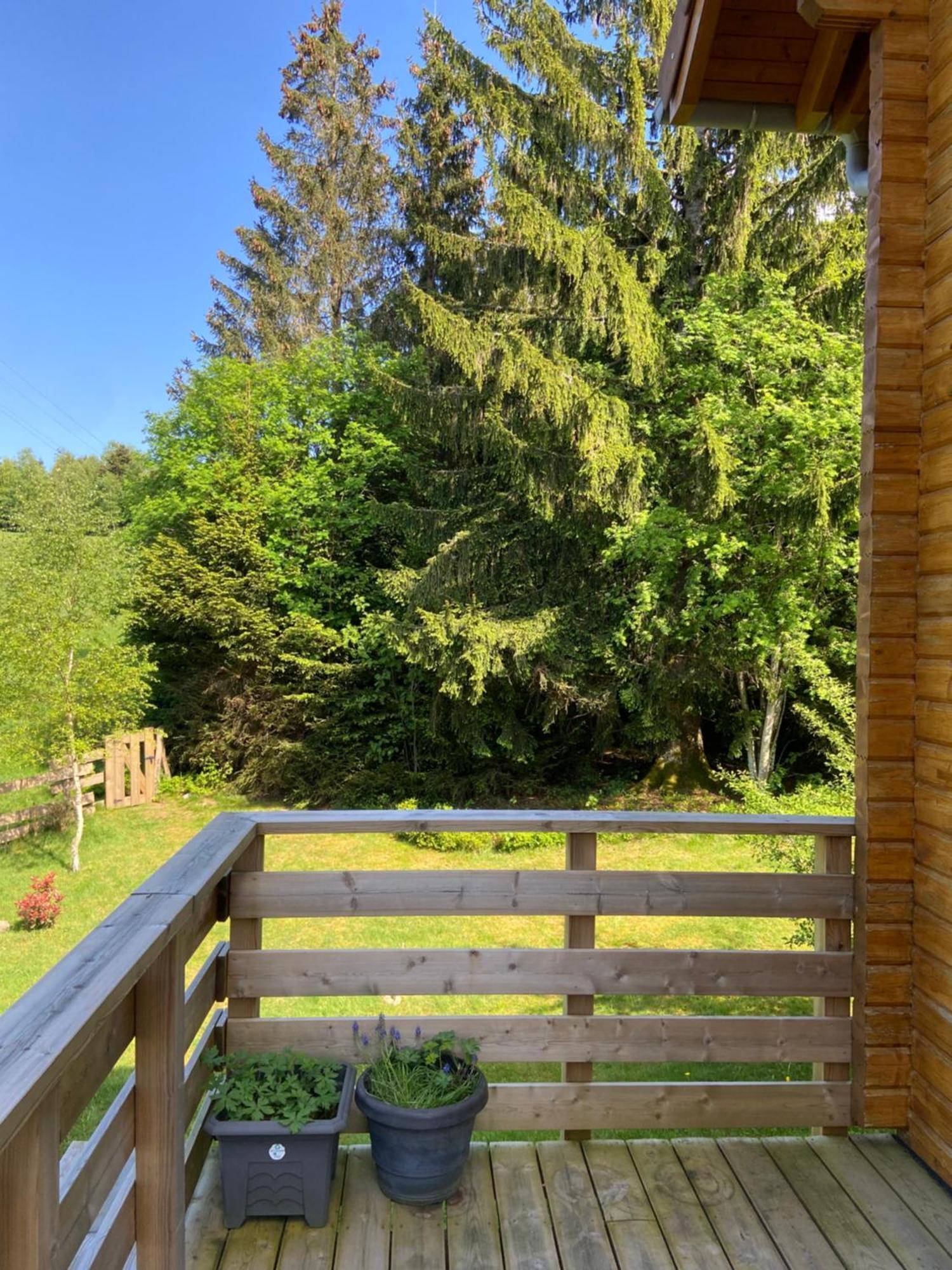 Chalet Authentique Au Calme, En Lisiere De Foret, Montagne, Sentiers 15Mn Gerardmer & Alsace "Chalet Mon Beau Sapin" Anould Exterior foto